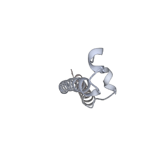 26388_7u8r_f_v1-1
Structure of porcine kidney V-ATPase with SidK, Rotary State 3