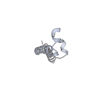 26388_7u8r_f_v1-2
Structure of porcine kidney V-ATPase with SidK, Rotary State 3