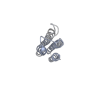 26388_7u8r_g_v1-1
Structure of porcine kidney V-ATPase with SidK, Rotary State 3