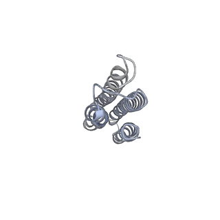 26388_7u8r_g_v1-2
Structure of porcine kidney V-ATPase with SidK, Rotary State 3