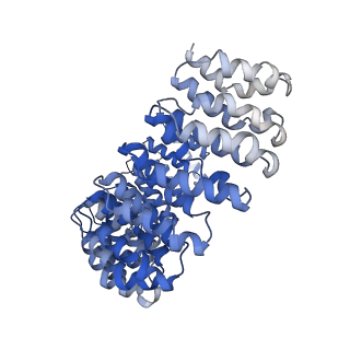 42018_8u89_A_v1-0
The structure of the PP2A-B56Delta holoenzyme mutant - E197K