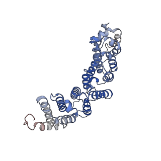 42018_8u89_B_v1-0
The structure of the PP2A-B56Delta holoenzyme mutant - E197K