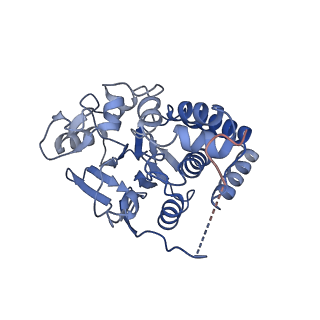 42018_8u89_C_v1-0
The structure of the PP2A-B56Delta holoenzyme mutant - E197K