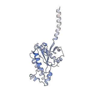 42023_8u8f_A_v1-1
GPR3 Orphan G-coupled Protein Receptor in complex with Dominant Negative Gs.