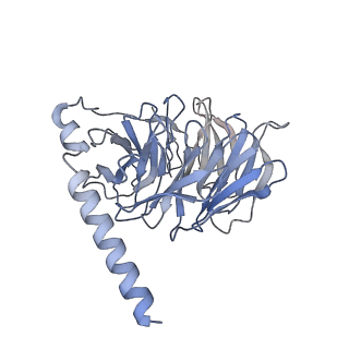 42023_8u8f_B_v1-1
GPR3 Orphan G-coupled Protein Receptor in complex with Dominant Negative Gs.