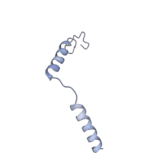 42023_8u8f_G_v1-1
GPR3 Orphan G-coupled Protein Receptor in complex with Dominant Negative Gs.