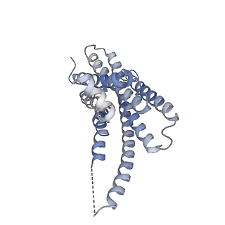 42023_8u8f_R_v1-1
GPR3 Orphan G-coupled Protein Receptor in complex with Dominant Negative Gs.