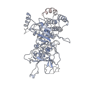 8519_5u8t_2_v1-5
Structure of Eukaryotic CMG Helicase at a Replication Fork and Implications