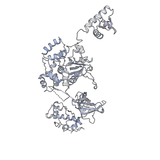 8519_5u8t_4_v1-5
Structure of Eukaryotic CMG Helicase at a Replication Fork and Implications