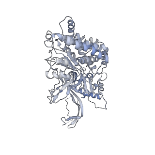 8519_5u8t_5_v1-5
Structure of Eukaryotic CMG Helicase at a Replication Fork and Implications