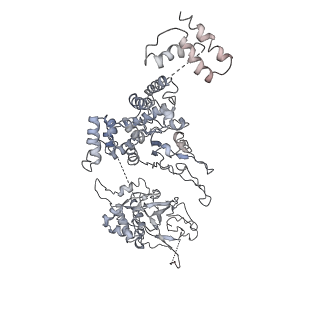 8519_5u8t_6_v1-5
Structure of Eukaryotic CMG Helicase at a Replication Fork and Implications