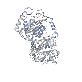 8519_5u8t_7_v1-5
Structure of Eukaryotic CMG Helicase at a Replication Fork and Implications