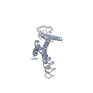8519_5u8t_A_v1-5
Structure of Eukaryotic CMG Helicase at a Replication Fork and Implications