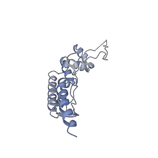 8519_5u8t_B_v1-5
Structure of Eukaryotic CMG Helicase at a Replication Fork and Implications