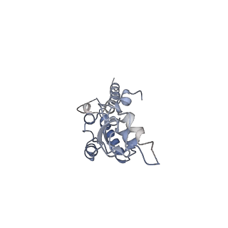 8519_5u8t_C_v1-5
Structure of Eukaryotic CMG Helicase at a Replication Fork and Implications