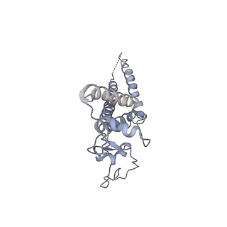 8519_5u8t_D_v1-5
Structure of Eukaryotic CMG Helicase at a Replication Fork and Implications
