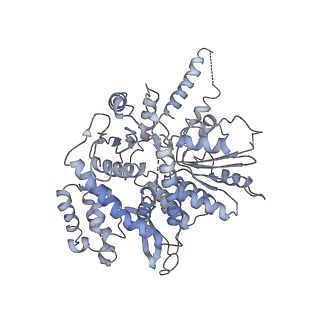 8519_5u8t_E_v1-5
Structure of Eukaryotic CMG Helicase at a Replication Fork and Implications