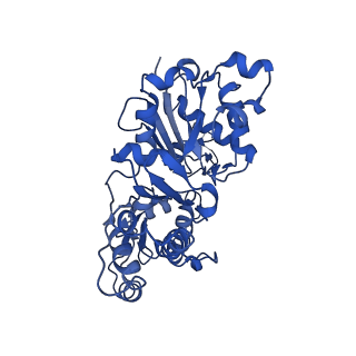 20694_6u96_B_v1-1
Actin phalloidin at BeFx state
