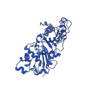 20694_6u96_D_v1-1
Actin phalloidin at BeFx state
