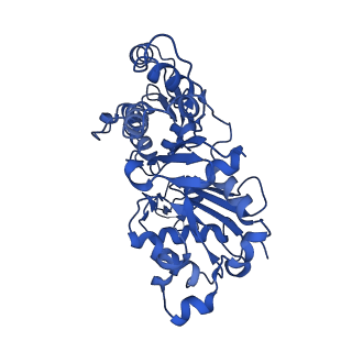 20694_6u96_E_v1-1
Actin phalloidin at BeFx state