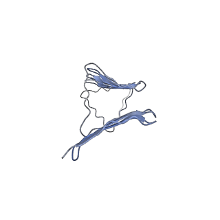 20698_6u9g_F_v1-2
Structure of Francisella PdpA-VgrG Complex, half-lidded