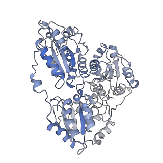 20700_6u9h_B_v1-2
Arabidopsis thaliana acetohydroxyacid synthase complex