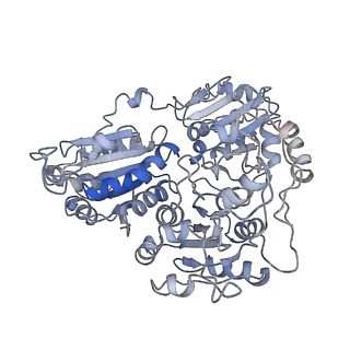 20700_6u9h_H_v1-2
Arabidopsis thaliana acetohydroxyacid synthase complex