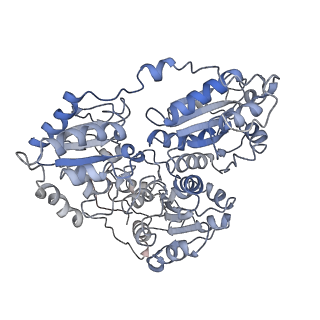 20700_6u9h_I_v1-2
Arabidopsis thaliana acetohydroxyacid synthase complex