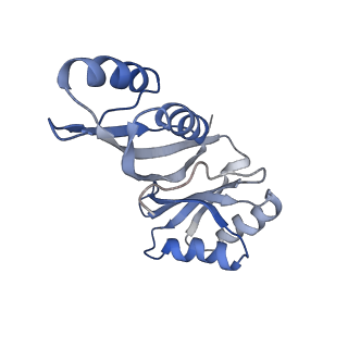 20700_6u9h_K_v1-1
Arabidopsis thaliana acetohydroxyacid synthase complex