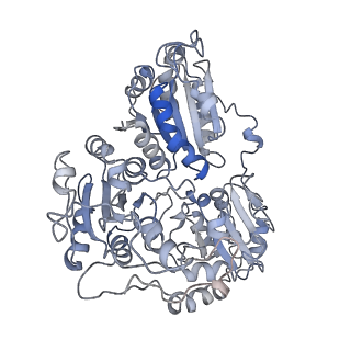 20700_6u9h_L_v1-1
Arabidopsis thaliana acetohydroxyacid synthase complex