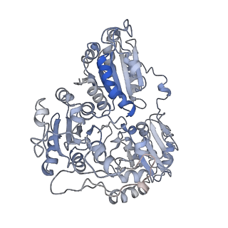 20700_6u9h_L_v1-2
Arabidopsis thaliana acetohydroxyacid synthase complex