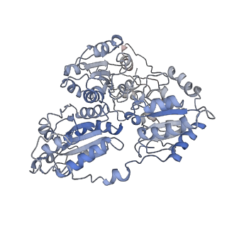 20700_6u9h_Q_v1-2
Arabidopsis thaliana acetohydroxyacid synthase complex