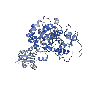 20701_6u9o_D_v1-1
Human IMPDH2 treated with ATP, IMP, NAD+, and 2 mM GTP. Fully compressed filament segment reconstruction.