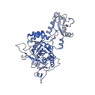 20701_6u9o_E_v1-1
Human IMPDH2 treated with ATP, IMP, NAD+, and 2 mM GTP. Fully compressed filament segment reconstruction.