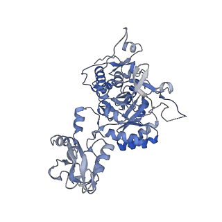 20701_6u9o_G_v1-1
Human IMPDH2 treated with ATP, IMP, NAD+, and 2 mM GTP. Fully compressed filament segment reconstruction.