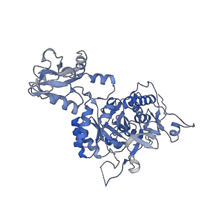 20701_6u9o_H_v1-1
Human IMPDH2 treated with ATP, IMP, NAD+, and 2 mM GTP. Fully compressed filament segment reconstruction.