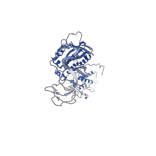 20702_6u9v_C_v1-2
Cryo electron microscopy structure of the ATP-gated rat P2X7 ion channel in the apo, closed state