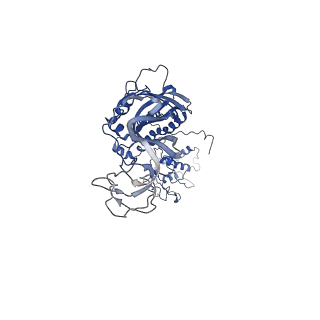 20702_6u9v_C_v2-0
Cryo electron microscopy structure of the ATP-gated rat P2X7 ion channel in the apo, closed state