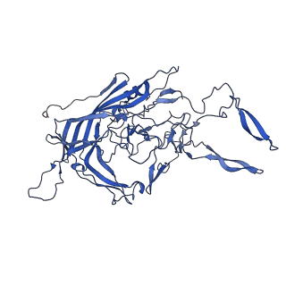 26390_7u94_1_v1-3
SAAV pH 7.4 capsid structure