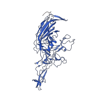 26390_7u94_2_v1-3
SAAV pH 7.4 capsid structure