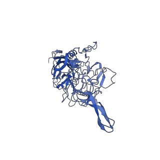 26390_7u94_3_v1-3
SAAV pH 7.4 capsid structure