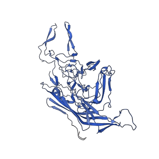 26390_7u94_5_v1-3
SAAV pH 7.4 capsid structure