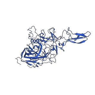 26390_7u94_6_v1-3
SAAV pH 7.4 capsid structure