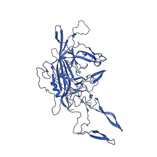 26390_7u94_A_v1-3
SAAV pH 7.4 capsid structure