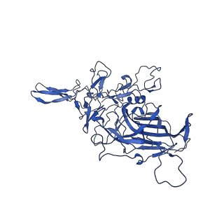 26390_7u94_D_v1-3
SAAV pH 7.4 capsid structure