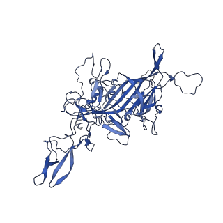 26390_7u94_E_v1-3
SAAV pH 7.4 capsid structure