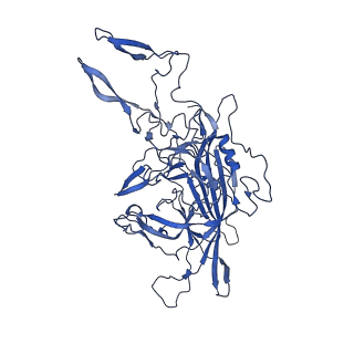 26390_7u94_F_v1-2
SAAV pH 7.4 capsid structure