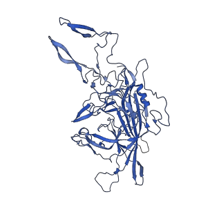 26390_7u94_F_v1-3
SAAV pH 7.4 capsid structure