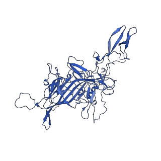 26390_7u94_G_v1-3
SAAV pH 7.4 capsid structure