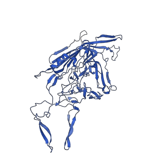 26390_7u94_H_v1-3
SAAV pH 7.4 capsid structure